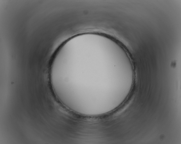X0000094331501200711241817