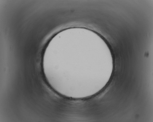 X0000094331502200711241817
