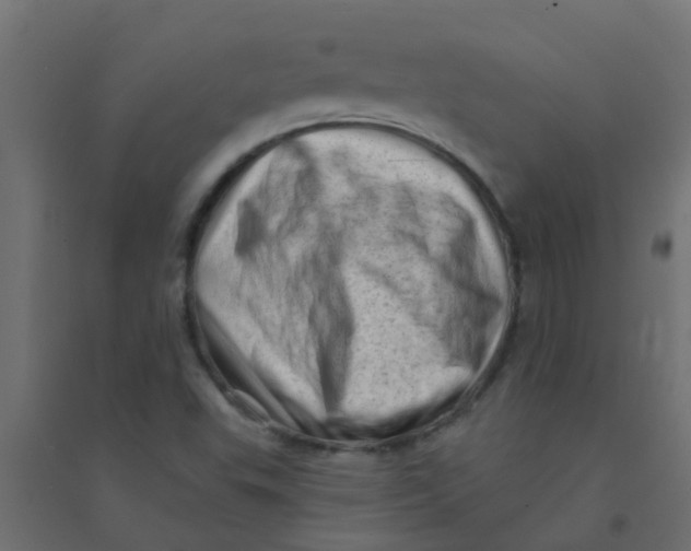 X0000094331503200711241818