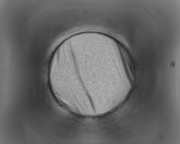 X0000094331504200711241818