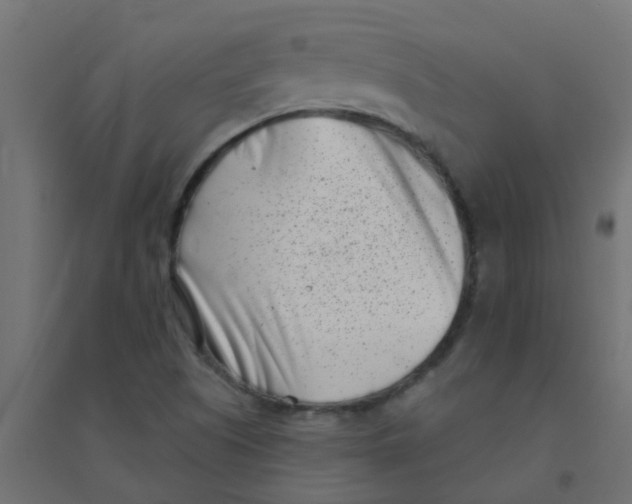 X0000094331505200711241818