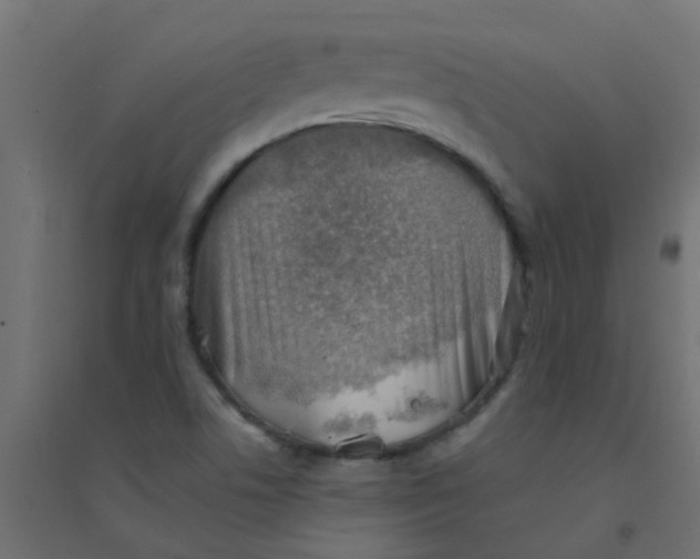 X0000094331506200711241818