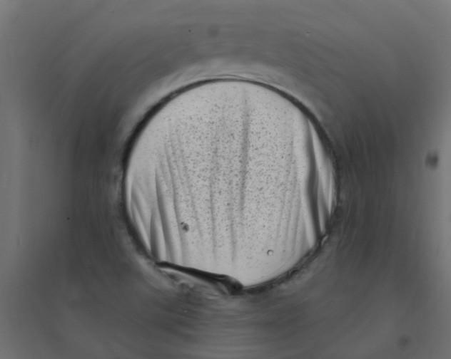X0000094331507200711241818