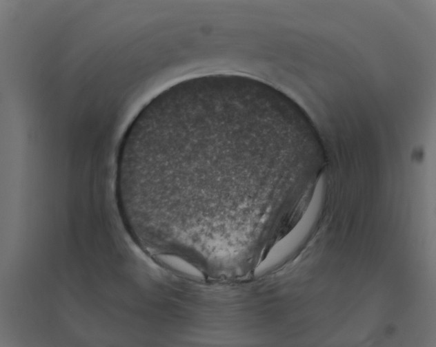 X0000094331508200711241818