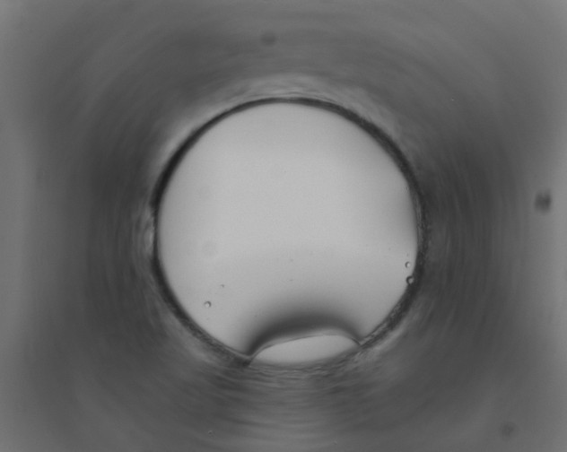 X0000094331509200711241818