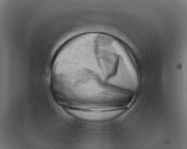 X0000094331510200711241818