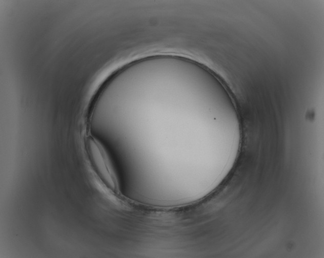 X0000094331511200711241818