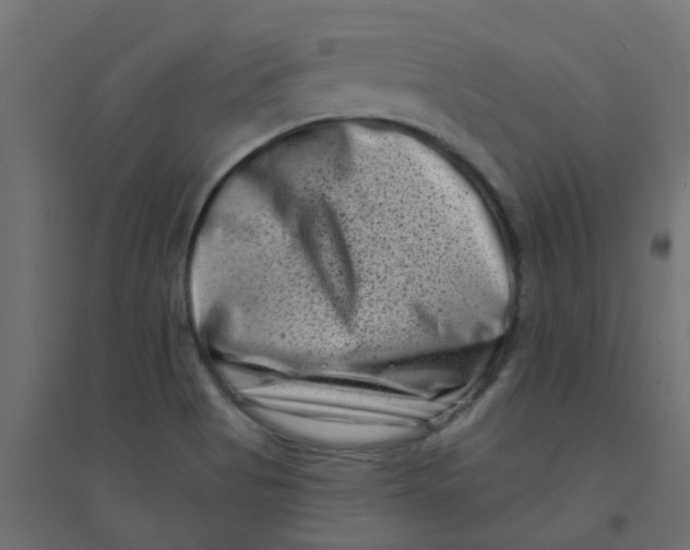 X0000094331513200711241818