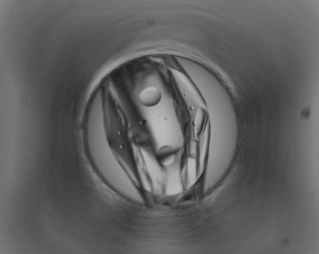 X0000094331514200711241818