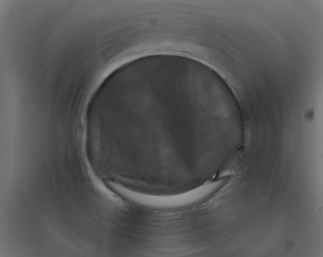 X0000094331515200711241818