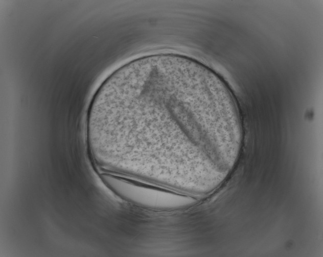 X0000094331516200711241818