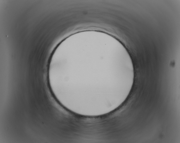X0000094331518200711241818