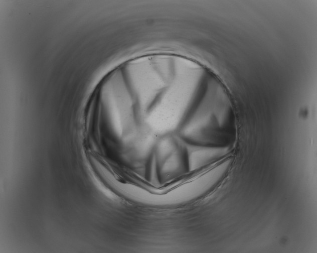 X0000094331519200711241818