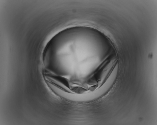 X0000094331520200711241818