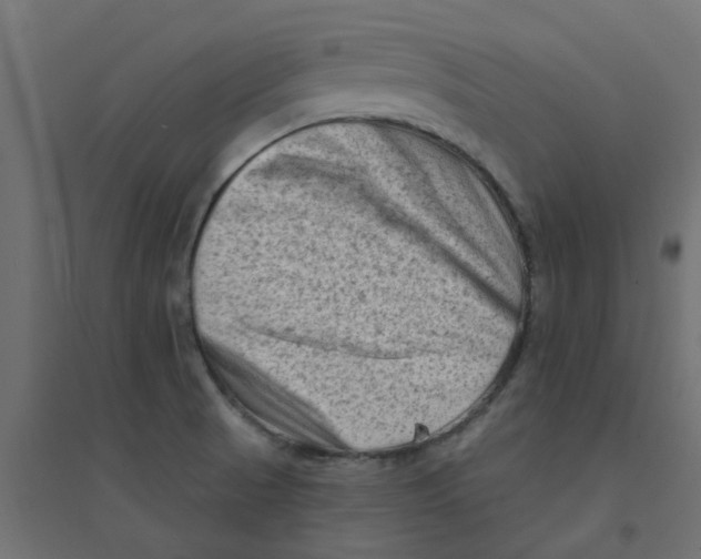 X0000094331521200711241818