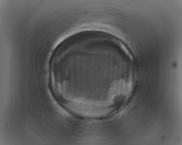 X0000094331522200711241818