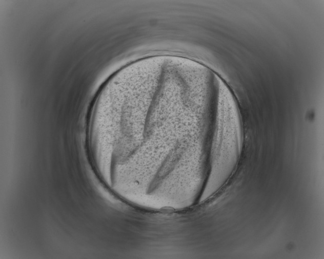 X0000094331523200711241818