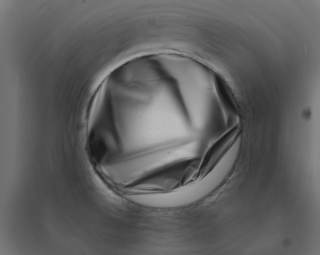 X0000094331524200711241818