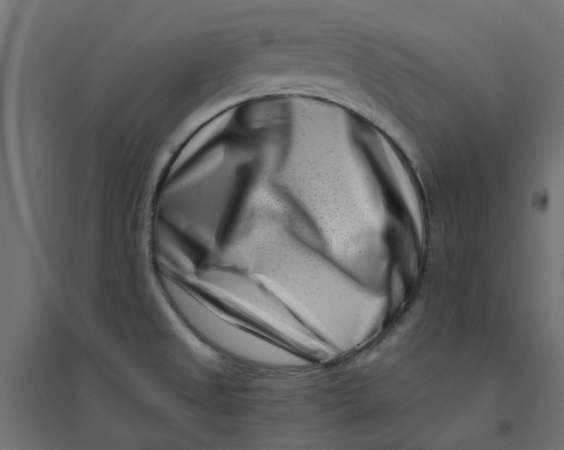 X0000094331525200711241818