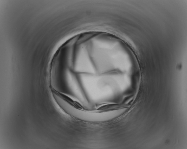 X0000094331528200711241818