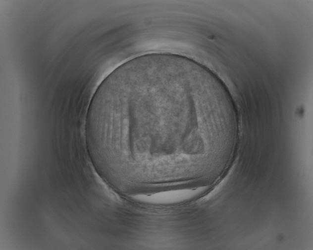 X0000094331529200711241818