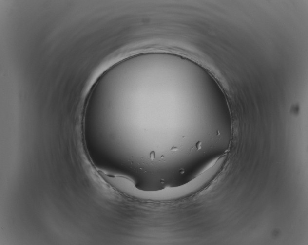 X0000094331530200711241818