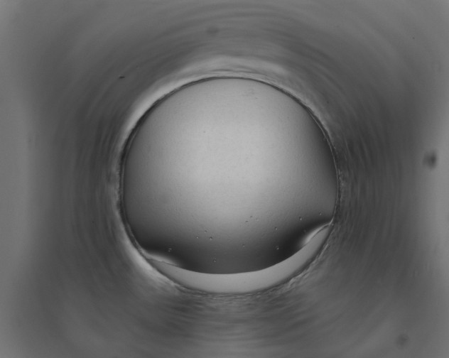 X0000094331531200711241818