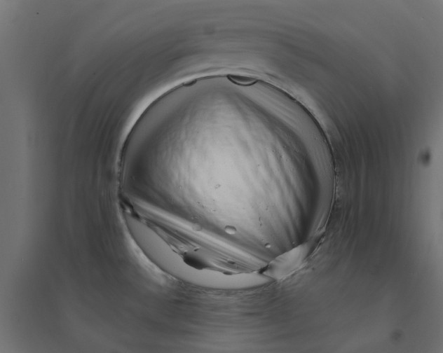 X0000094331532200711241818