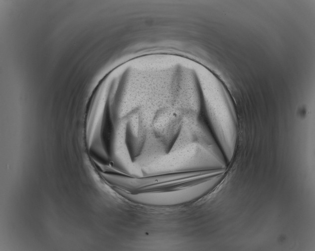 X0000094331534200711241818