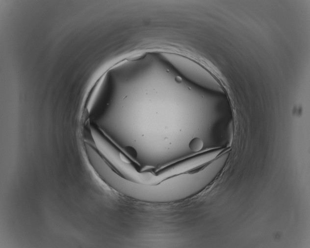 X0000094331536200711241818