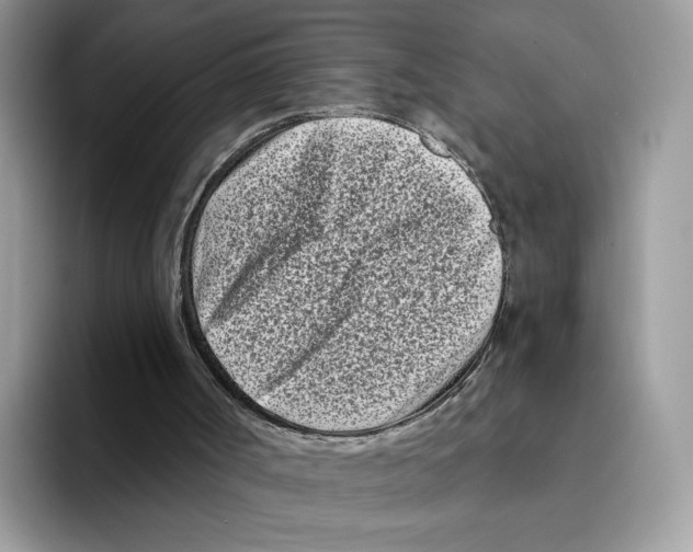 X0000094330002200711301238