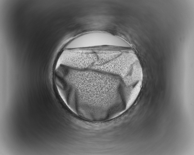 X0000094330006200711301238