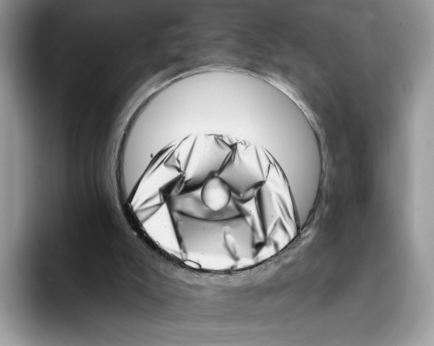 X0000094330007200711301238