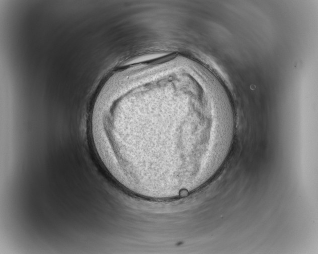 X0000094330010200711301238