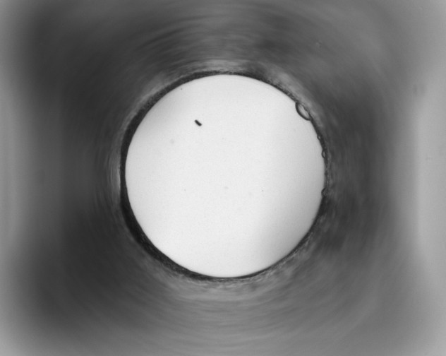 X0000094330011200711301238