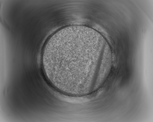 X0000094330012200711301238