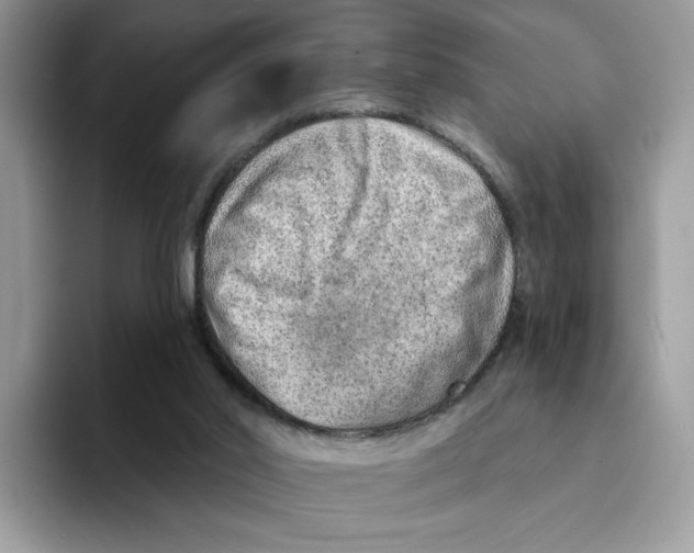 X0000094330014200711301238