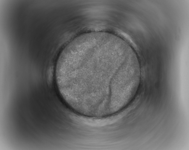 X0000094330018200711301237