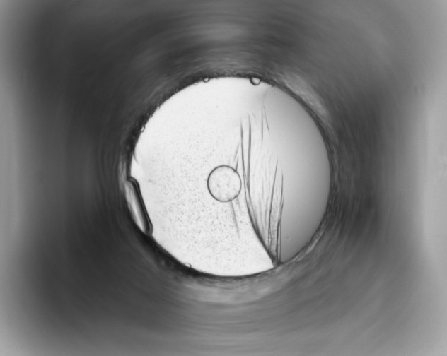 X0000094330021200711301237