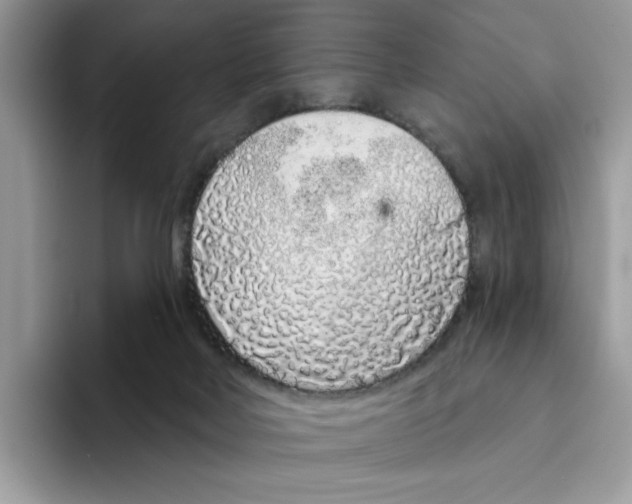 X0000094330026200711301237