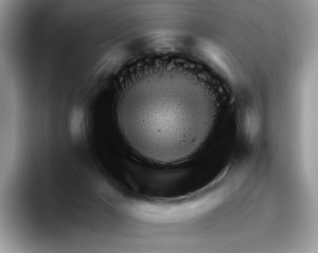 X0000094330029200711301237