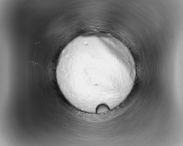 X0000094330030200711301237