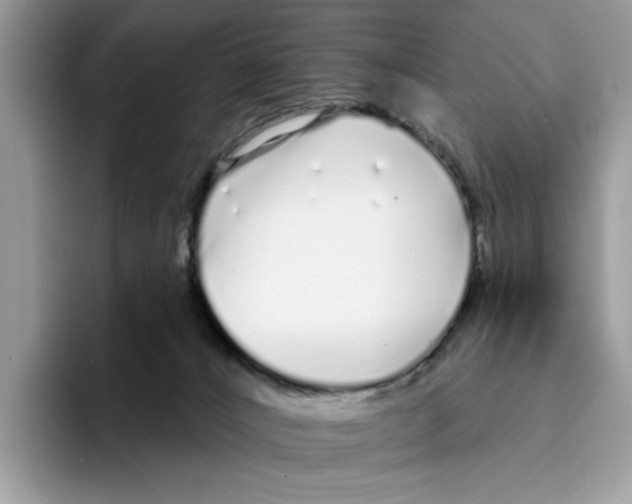 X0000094330032200711301237