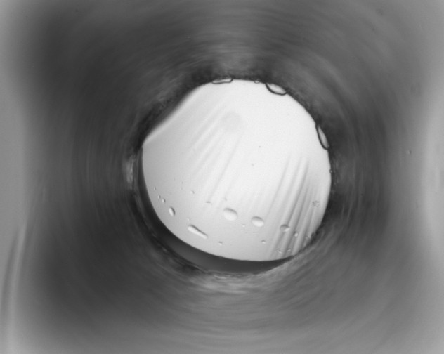 X0000094330033200711301237