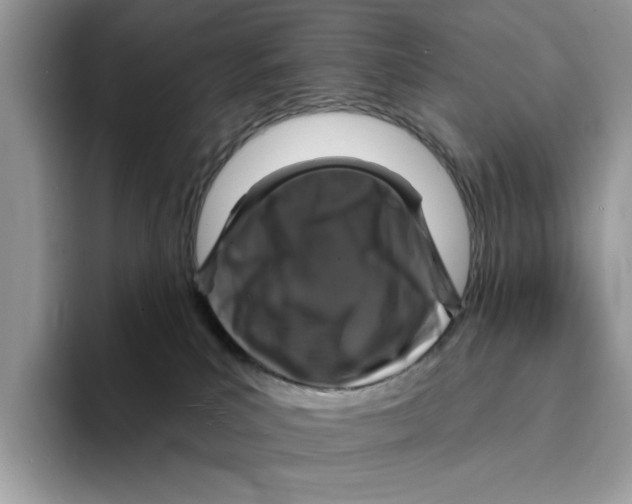 X0000094330039200711301237