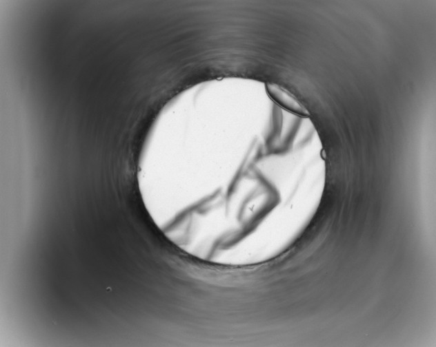X0000094330040200711301237