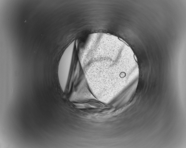 X0000094330041200711301237