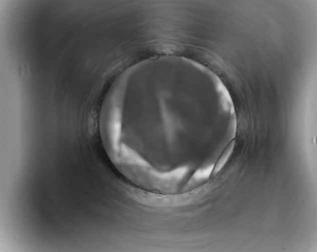 X0000094330043200711301237