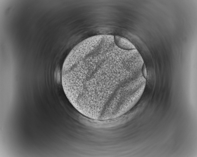 X0000094330046200711301237