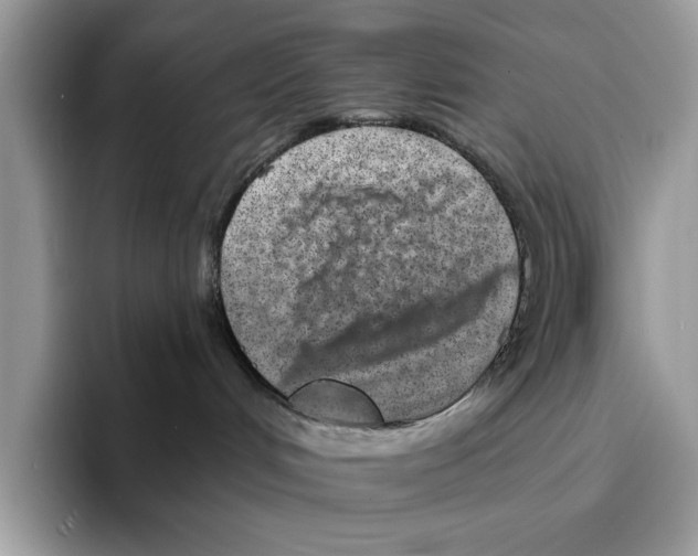 X0000094330048200711301237